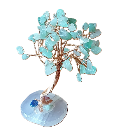 Amazoniet  levensboompje